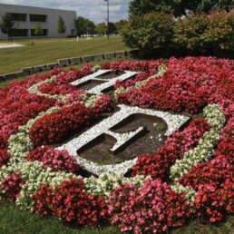 White, Red, and Pink Flower Bed with 